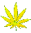 Weed